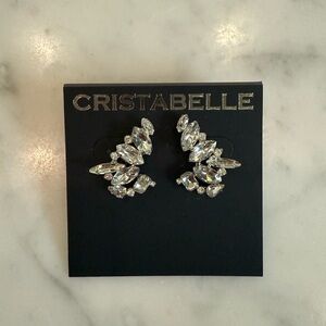 Silver Crystal Earrings